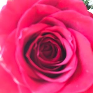 Meet your Posher, Tena